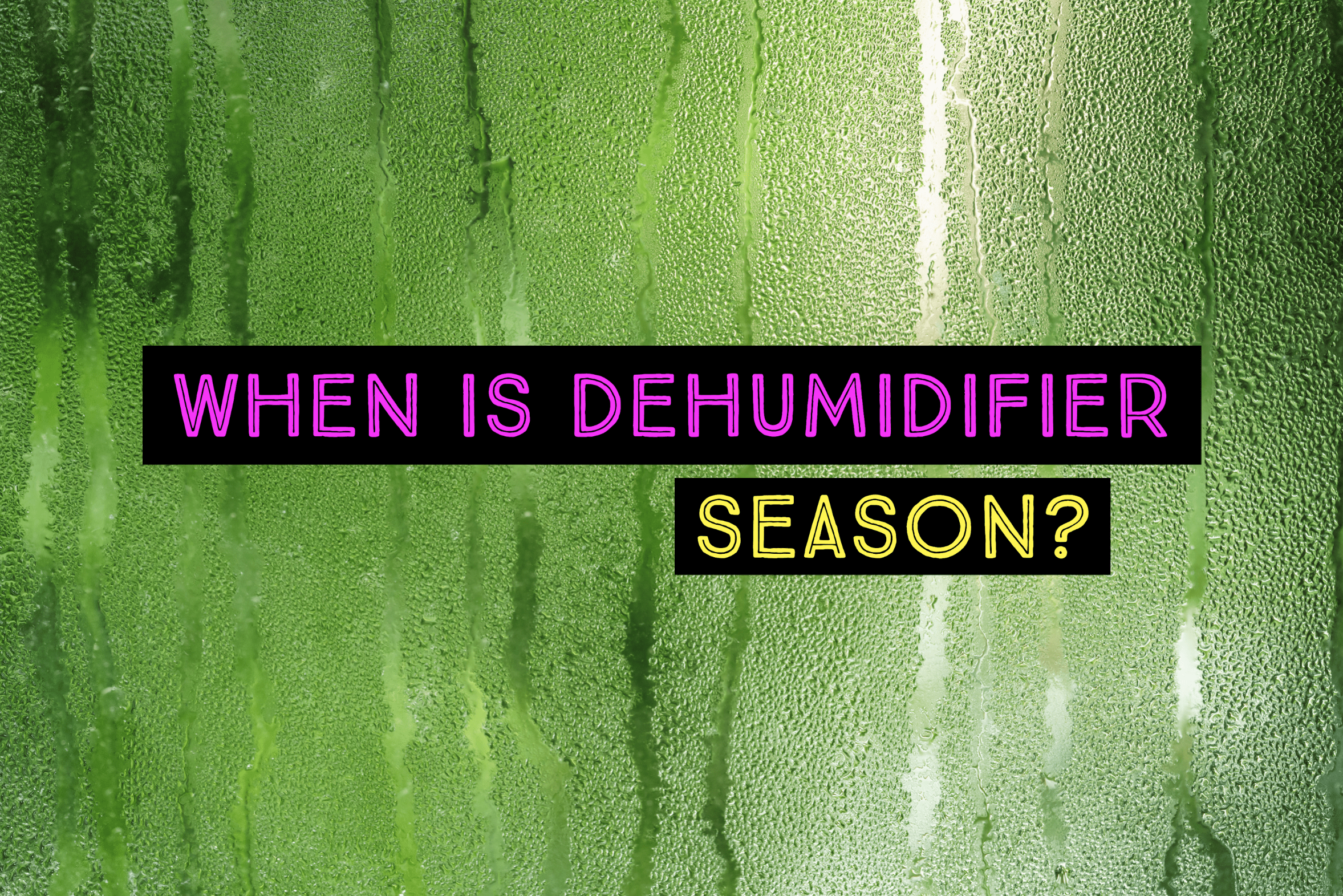 dehumidifierspring-1